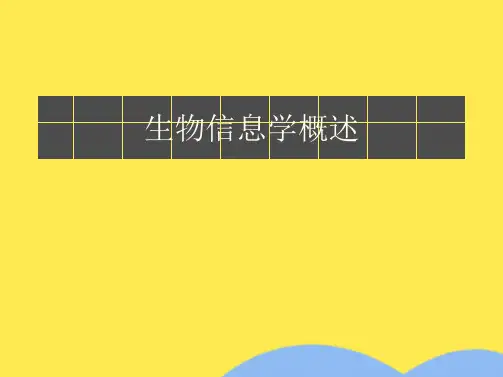生物信息学概述(共59张PPT)精选全文完整版