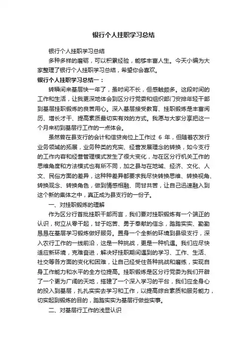 银行个人挂职学习总结