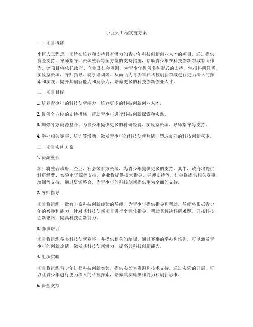 小巨人工程实施方案