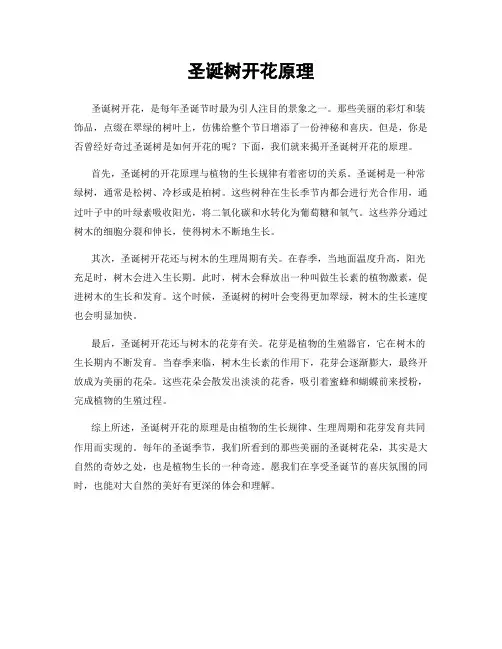 圣诞树开花原理
