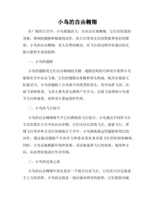 小鸟的自由翱翔
