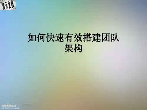 如何快速有效搭建团队架构