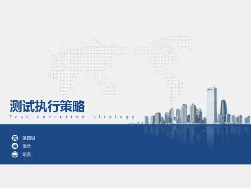测试执行策略