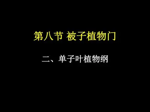 《药用植物学》被子植物分科之五(单子叶禾本科