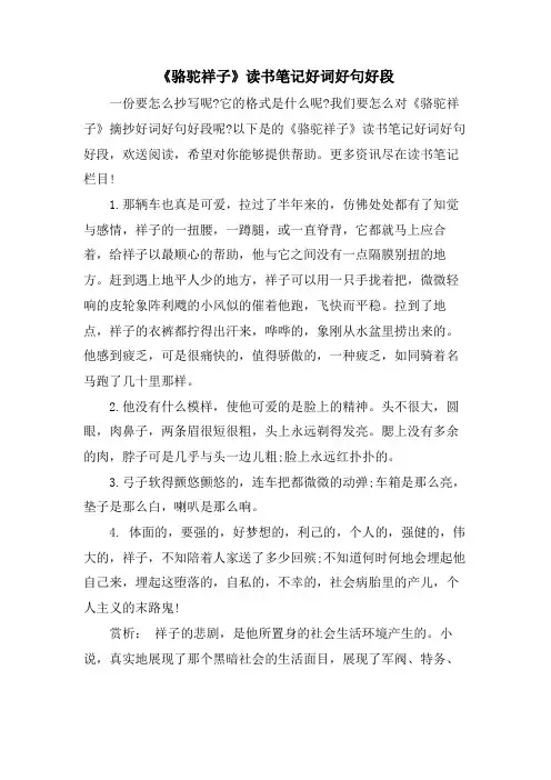 《骆驼祥子》读书笔记好词好句好段