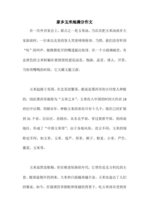 家乡玉米地满分作文