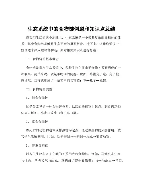 生态系统中的食物链例题和知识点总结