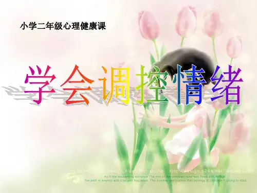 小学二年级心理健康课《学会调控情绪》课件