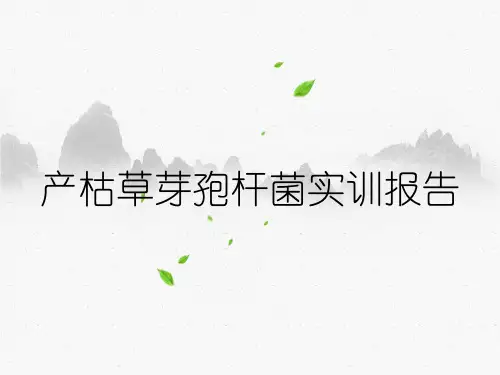 产枯草芽孢杆菌实训报告