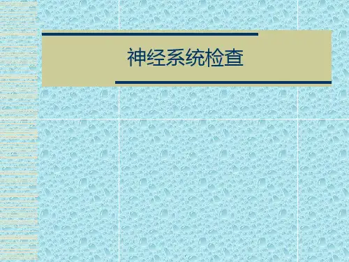 神经查体_精品文档