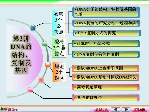 《创新设计·高考总复习》2015届高考生物第一轮复习之高考全程揭秘课件：2-2-2 DNA分子的结构、复制及基因