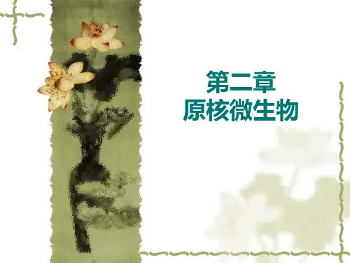 原核微生物