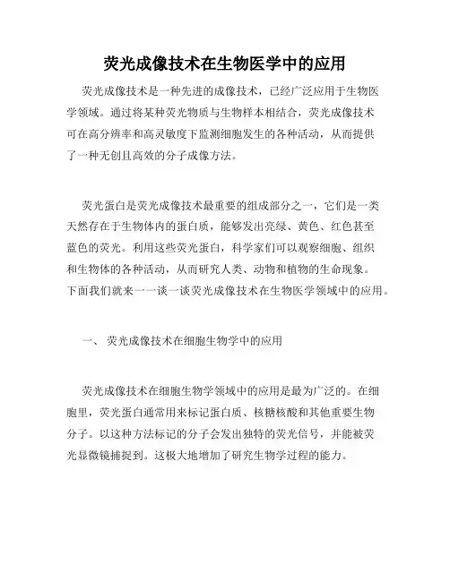 荧光成像技术在生物医学中的应用