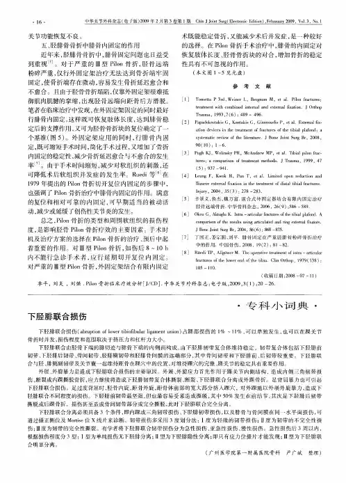 下胫腓联合损伤
