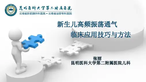 高频振荡呼吸机1