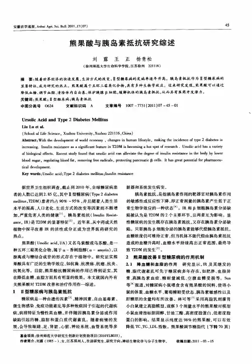 熊果酸与胰岛素抵抗研究综述