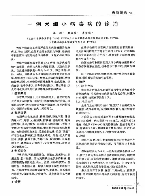 一例犬细小病毒病的诊治