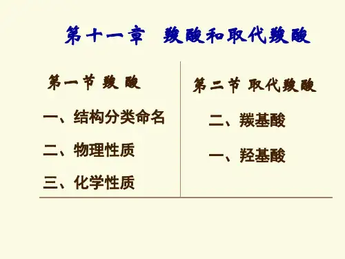 11- 羧酸和取代羧酸(1)广药大陈家旭制作