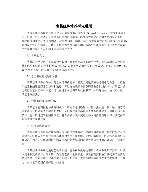 青蒿组织培养研究进展