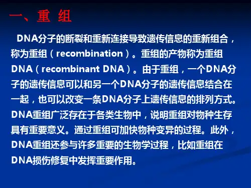 第17章 重组