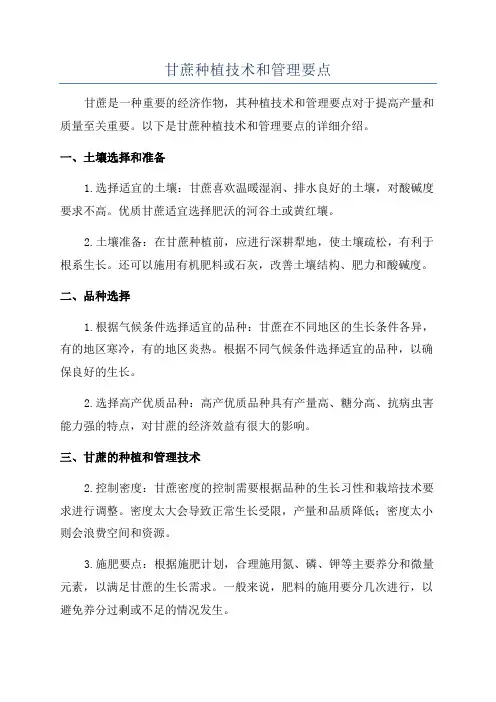 甘蔗种植技术和管理要点