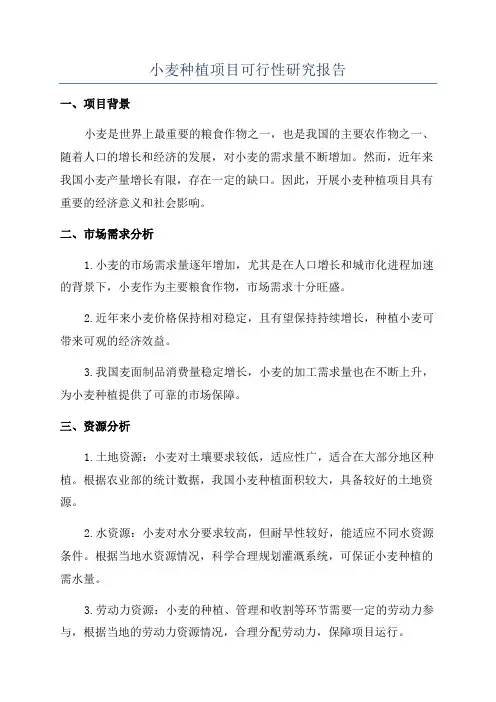 小麦种植项目可行性研究报告