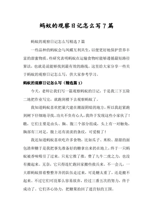 蚂蚁的观察日记怎么写7篇