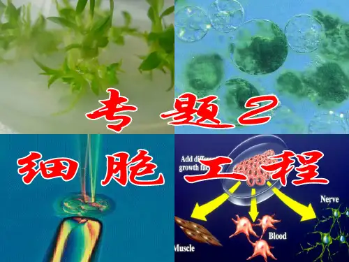 211植物细胞工程