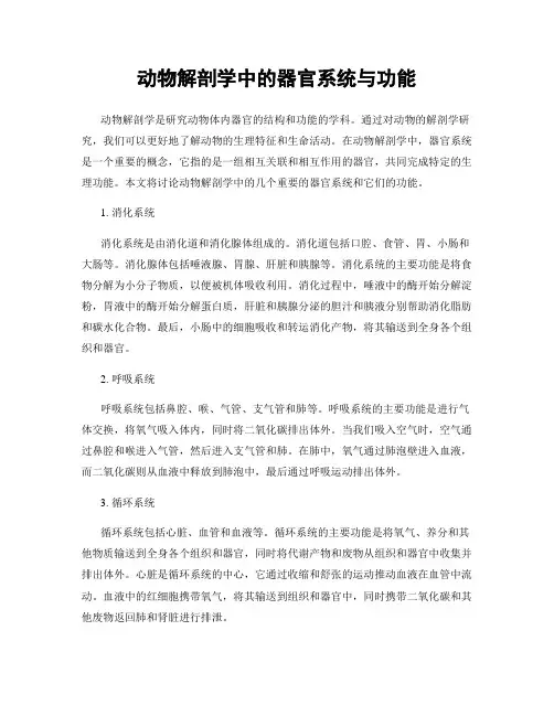 动物解剖学中的器官系统与功能