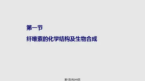 纤维素及其衍生物PPT课件
