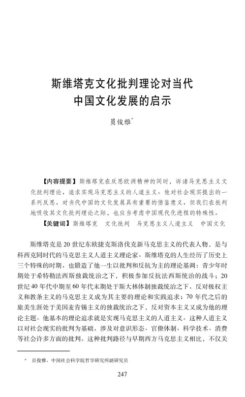 斯维塔克文化批判理论对当代中国文化发展的启示
