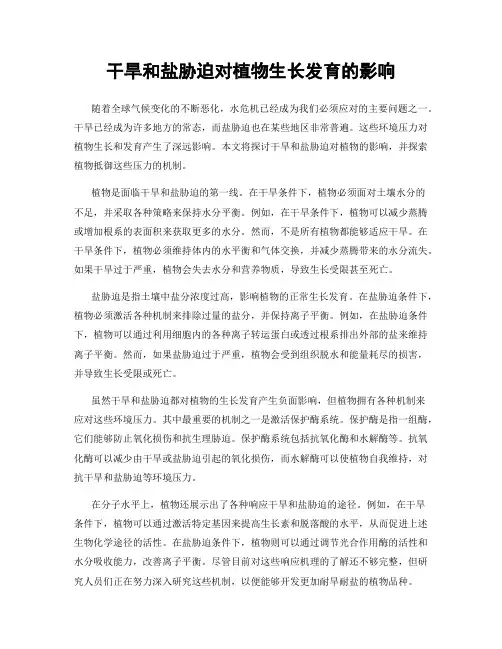 干旱和盐胁迫对植物生长发育的影响