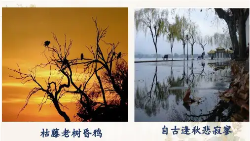 初中群文阅读-一切景语皆情语 课件