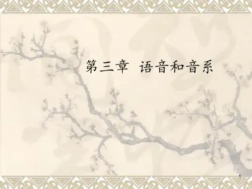 第三章语音和音系 ppt课件