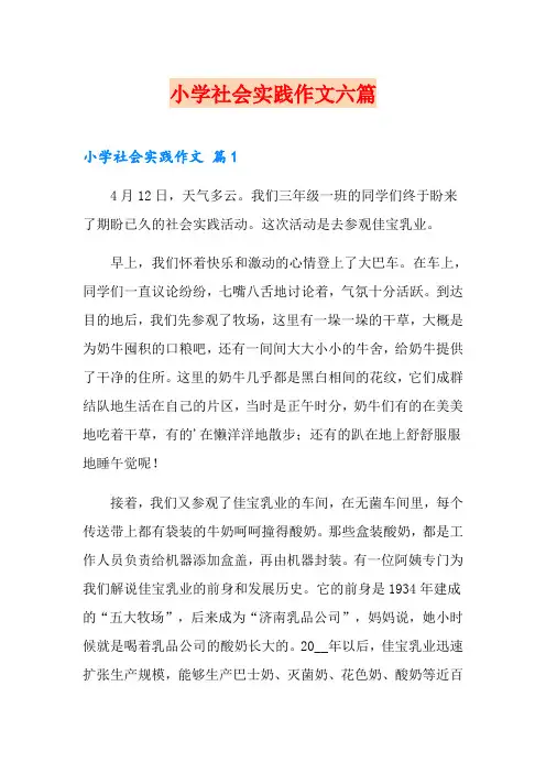 小学社会实践作文六篇