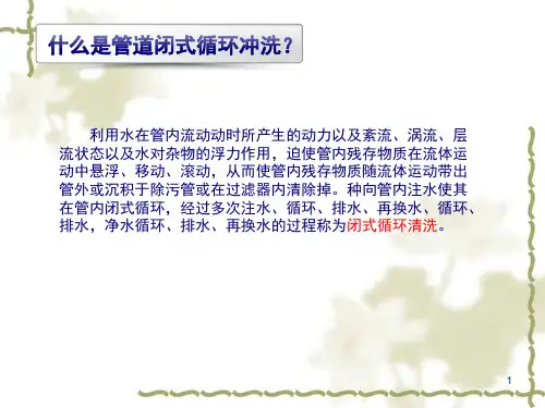 大管道闭式循环冲洗技术PPT课件02