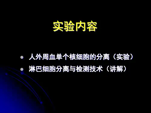 单个核细胞分离