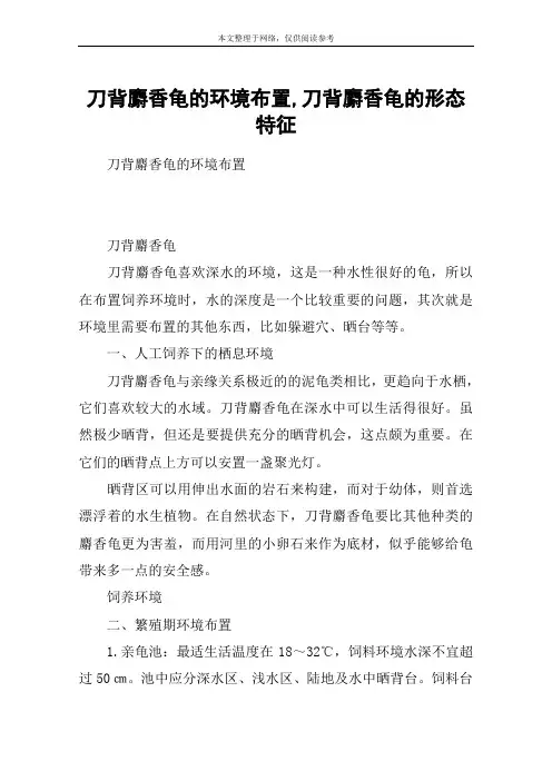 刀背麝香龟的环境布置,刀背麝香龟的形态特征