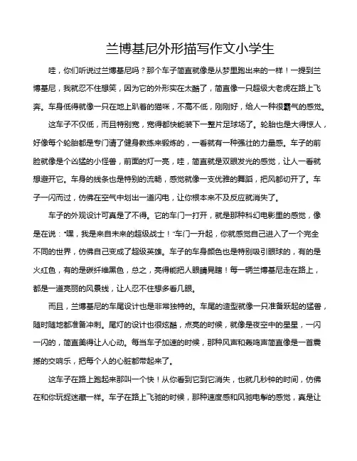 兰博基尼外形描写作文小学生