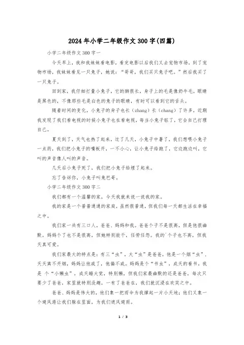 2024年小学二年级作文300字(四篇)
