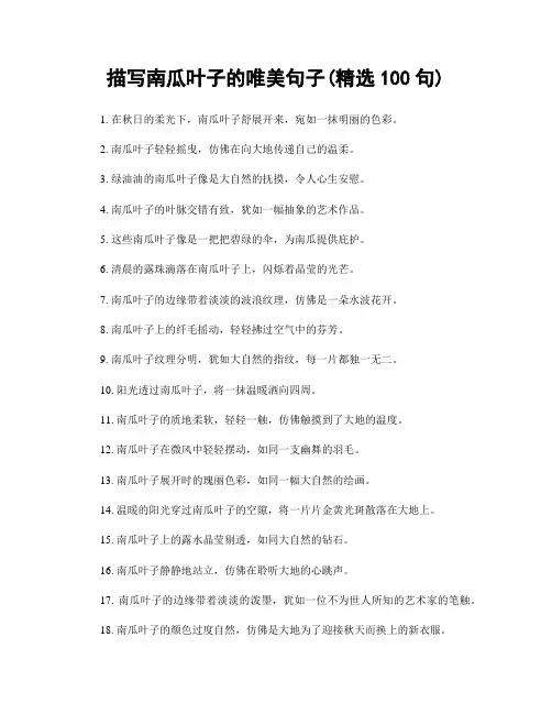 描写南瓜叶子的唯美句子(精选100句)