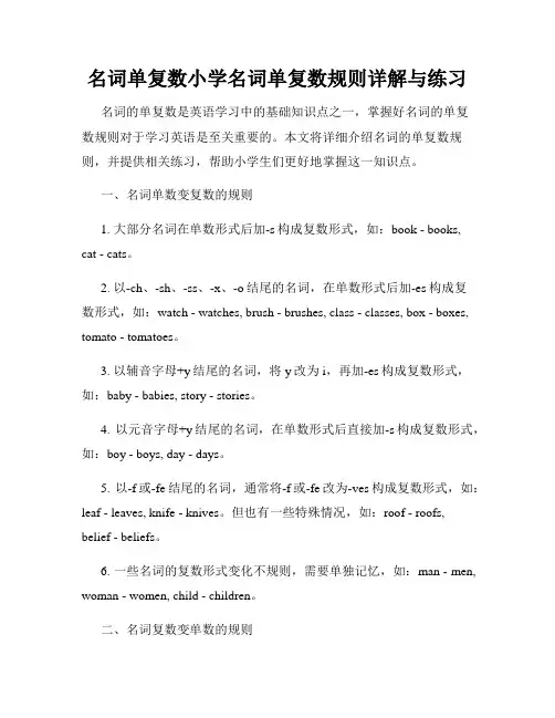名词单复数小学名词单复数规则详解与练习