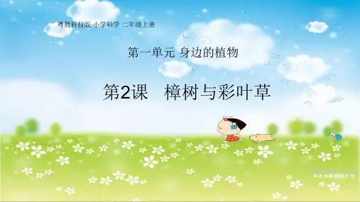 粤教版小学科学二年级上册第1单元《身边的植物》优质课件ppt