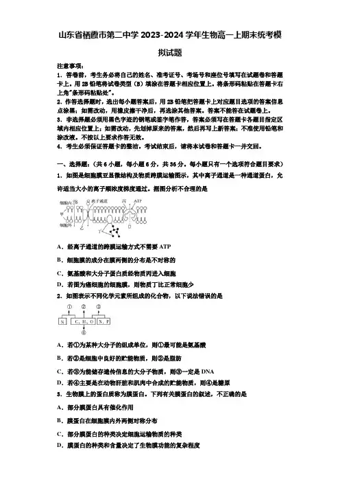 山东省栖霞市第二中学2023-2024学年生物高一上期末统考模拟试题含解析