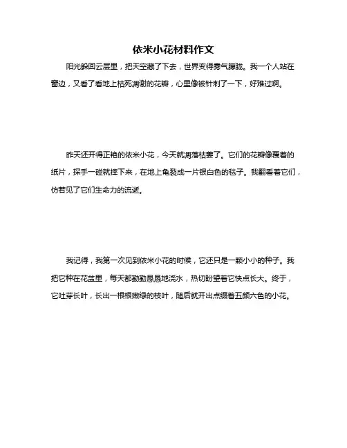 依米小花材料作文