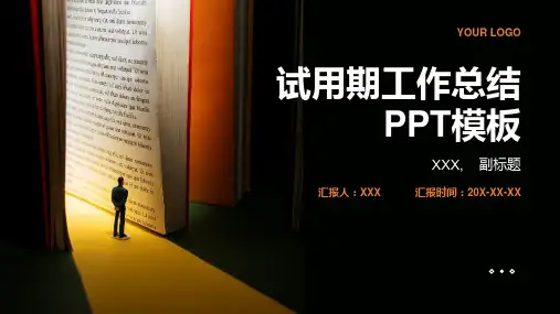 试用期工作总结PPT模板