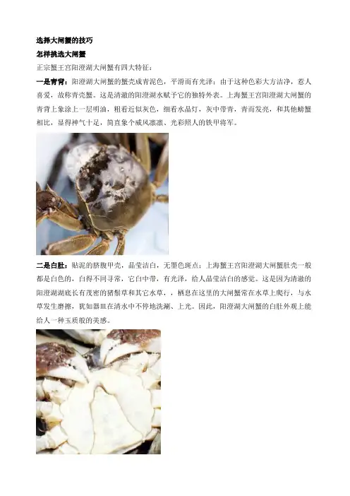 选择大闸蟹的技巧