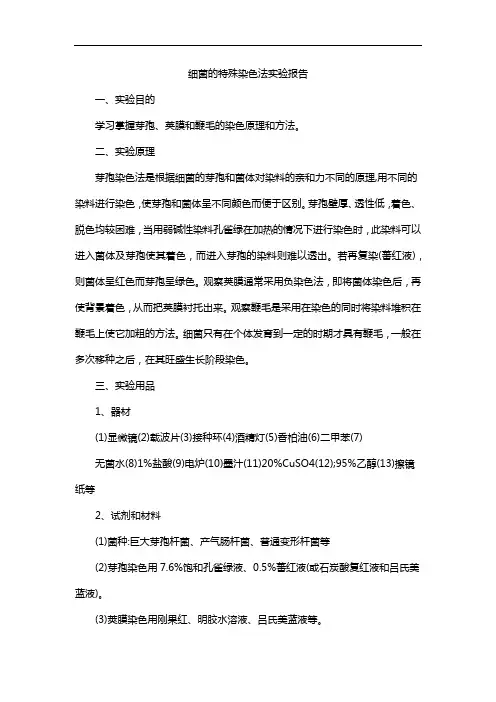 细菌的特殊染色法实验报告