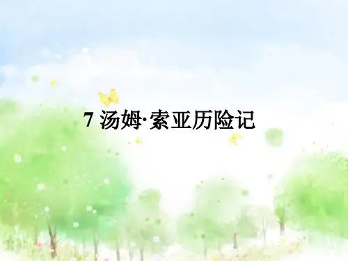 部编版小学语文六年级下册7《汤姆·索亚历险记》知识点总结
