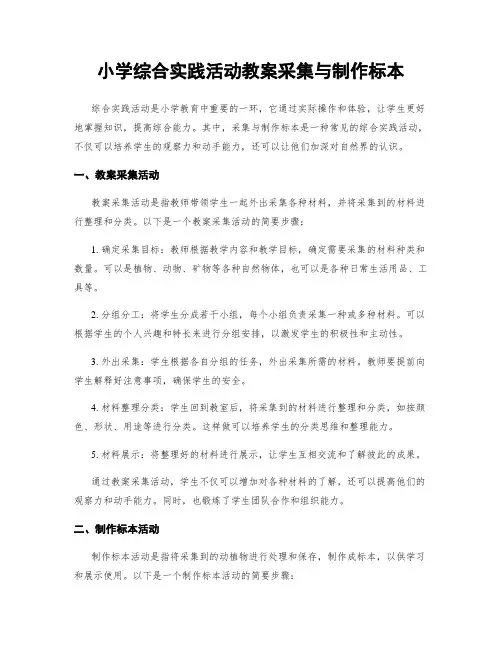 小学综合实践活动教案采集与制作标本